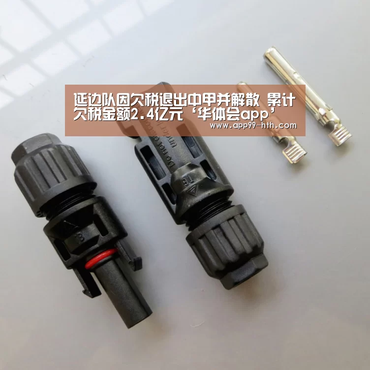 延边队因欠税退出中甲并解散 累计欠税金额2.4亿元‘华体会a