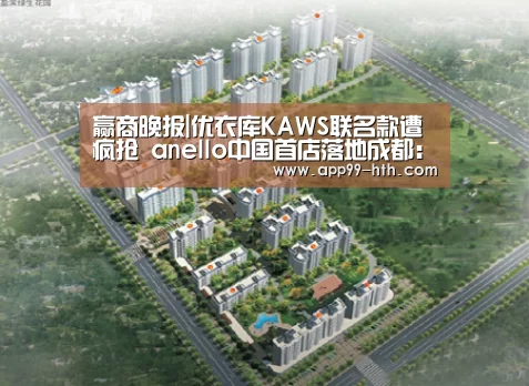 赢商晚报|优衣库KAWS联名款遭疯抢 anello中国首店落