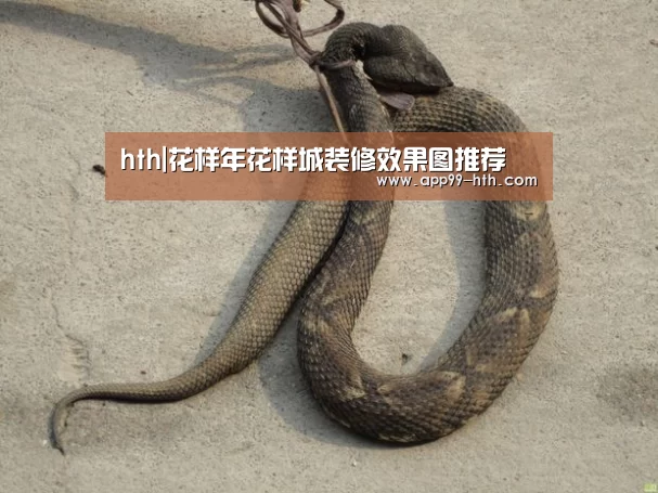 hth|花样年花样城装修效果图推荐