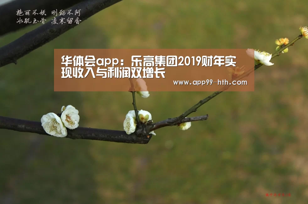 华体会app：乐高集团2019财年实现收入与利润双增长