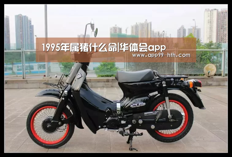
1995年属猪什么命|华体会app